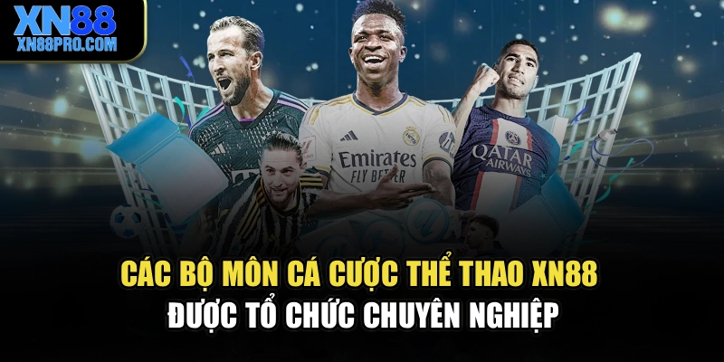 Các bộ môn cá cược thể thao XN88 được tổ chức chuyên nghiệp