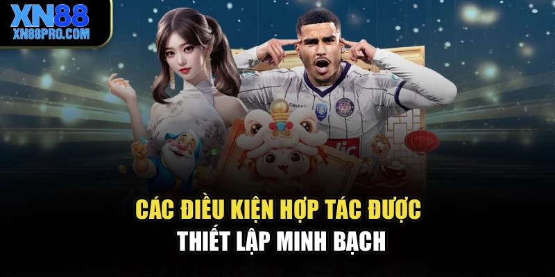 Các điều kiện hợp tác được thiết lập minh bạch