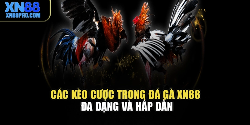 Các kèo cược trong đá gà XN88 đa dạng và hấp dẫn