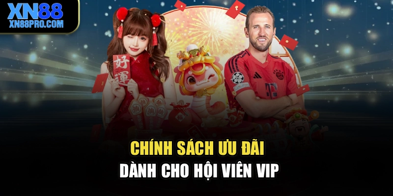 Chính sách ưu đãi dành cho hội viên VIP