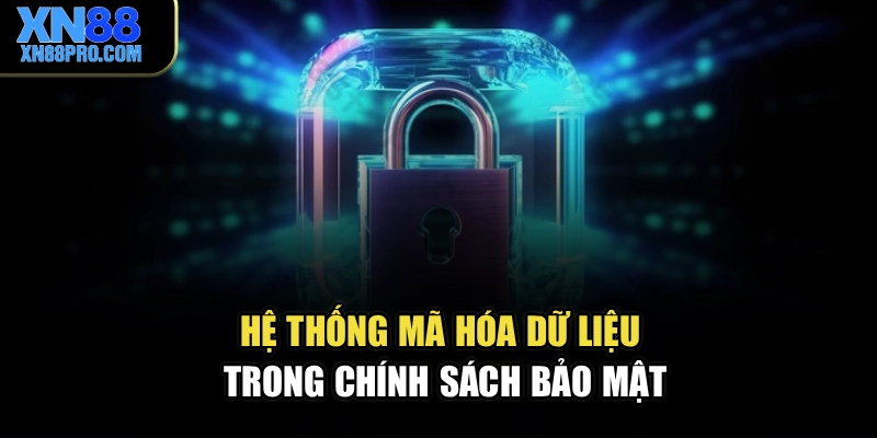 Hệ thống mã hóa dữ liệu trong chính sách bảo mật