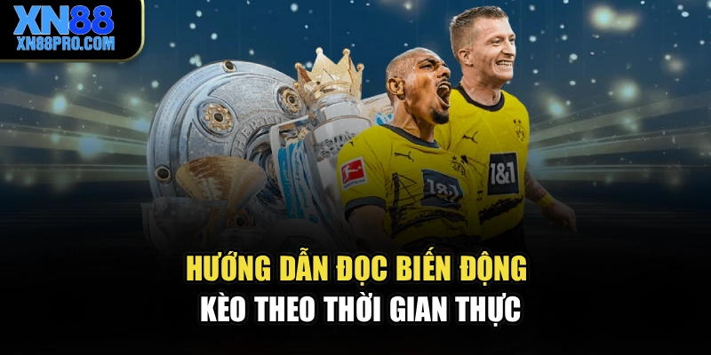 Hướng dẫn đọc biến động kèo theo thời gian thực