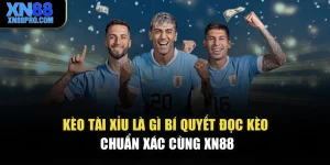Kèo Tài Xỉu Là Gì – Bí Quyết Đọc Kèo Chuẩn Xác Cùng XN88