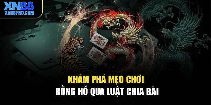 Khám phá mẹo chơi Rồng Hổ qua luật chia bài