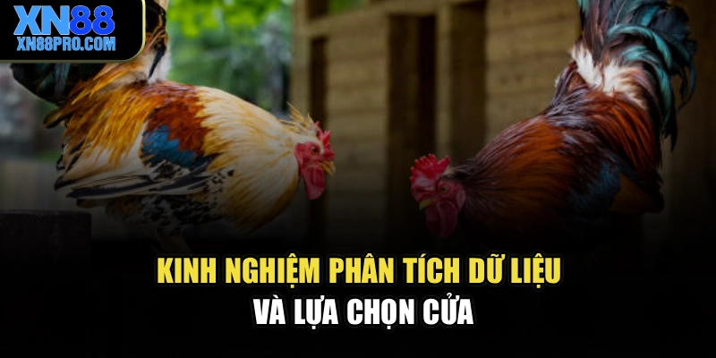 Kinh nghiệm phân tích dữ liệu và lựa chọn cửa
