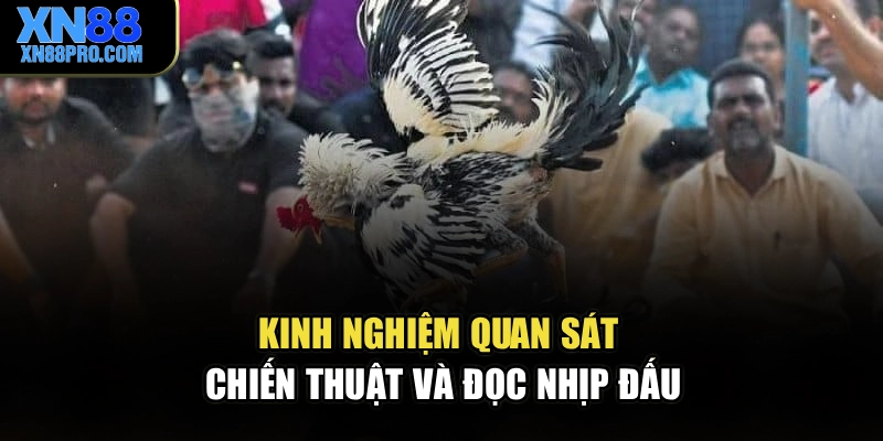 Kinh nghiệm quan sát chiến thuật và đọc nhịp đấu