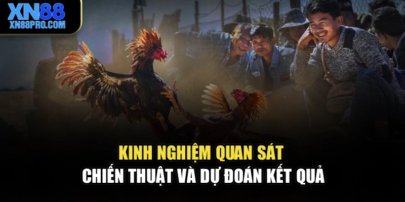 Kinh nghiệm quan sát chiến thuật và dự đoán kết quả