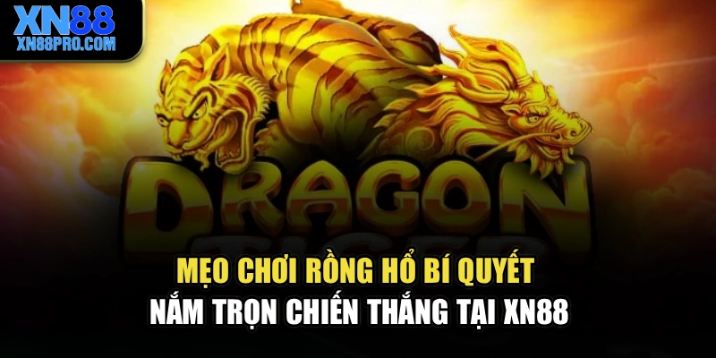 Mẹo Chơi Rồng Hổ – Bí Quyết Nắm Trọn Chiến Thắng Tại XN88