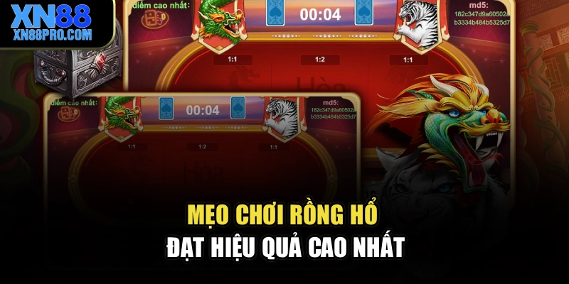 Mẹo chơi Rồng Hổ đạt hiệu quả cao nhất