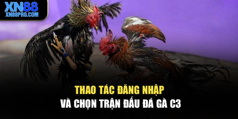 Thao tác đăng nhập và chọn trận đấu đá gà C3