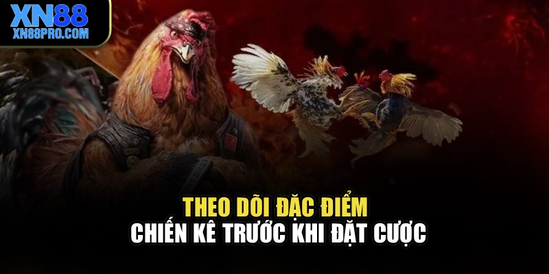 Theo dõi đặc điểm chiến kê trước khi đặt cược